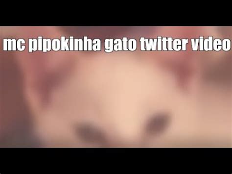 mc pipokinha com o gato|VÍDEO – MC Pipokinha aparece “amamentando” gato e pode ser。